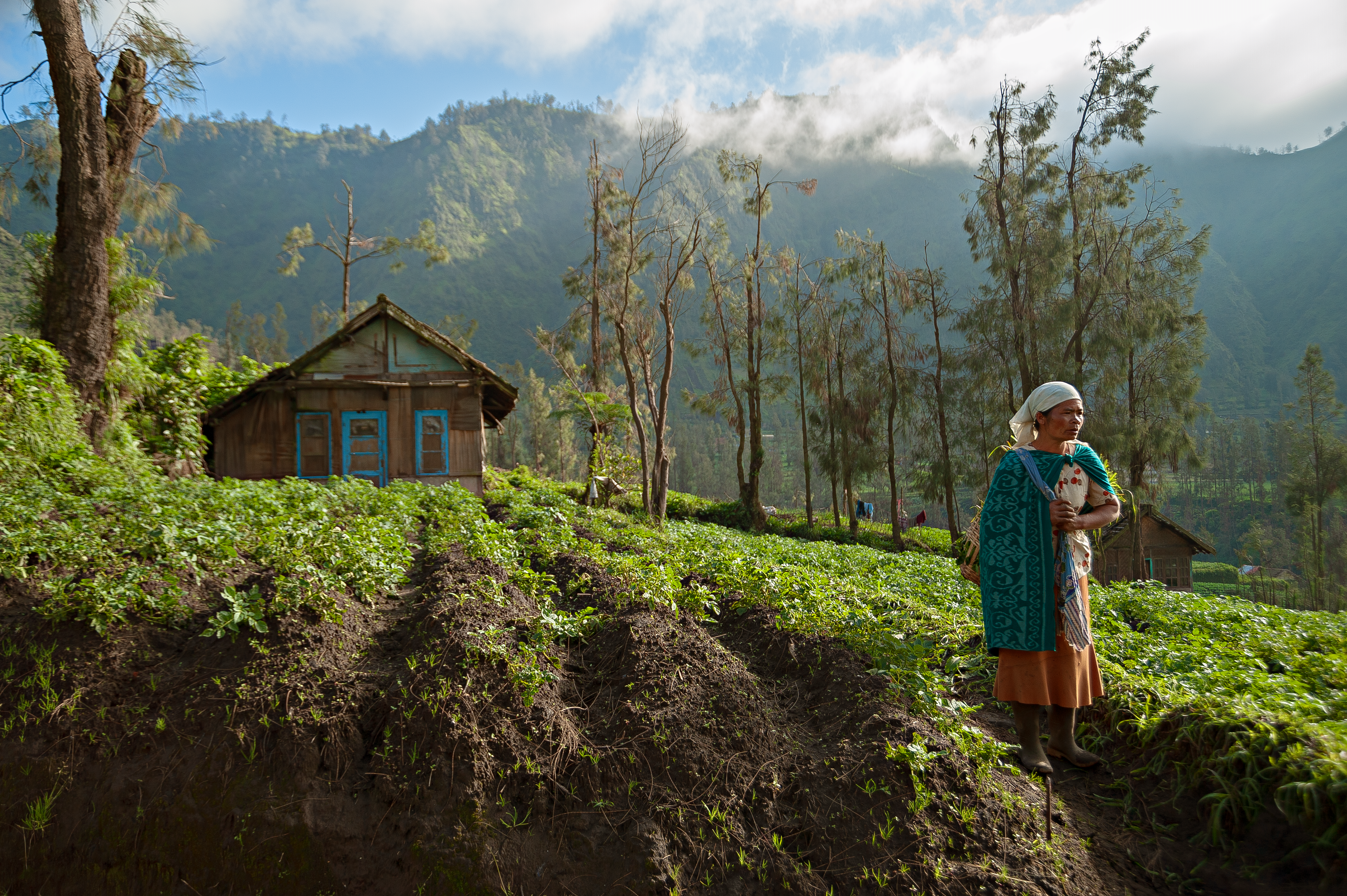 Woman standing in a vibrant mountain valley beside a rustic house.