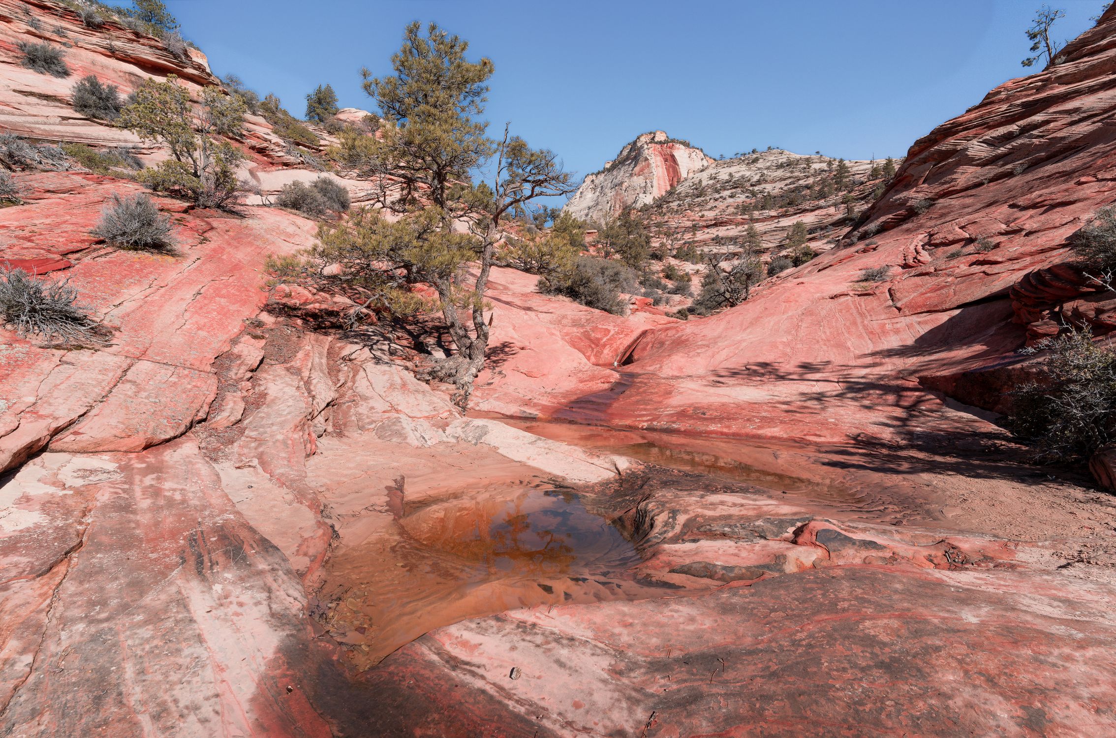 Explore the stunning red rock formations of Zion National Park in Utah, USA.