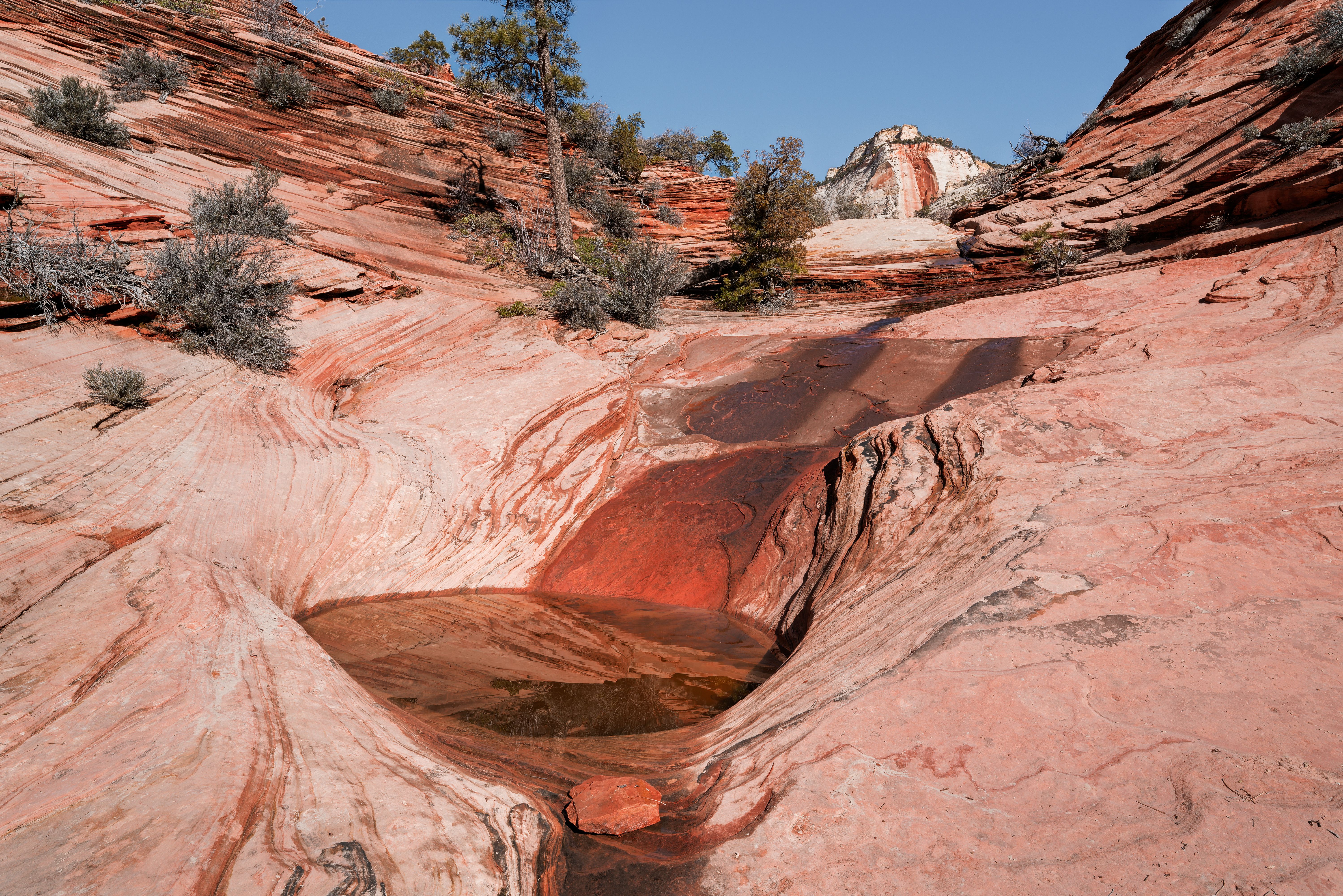 風景41 Scenic View of Zion National Park's Canyons · Free Stock Photo