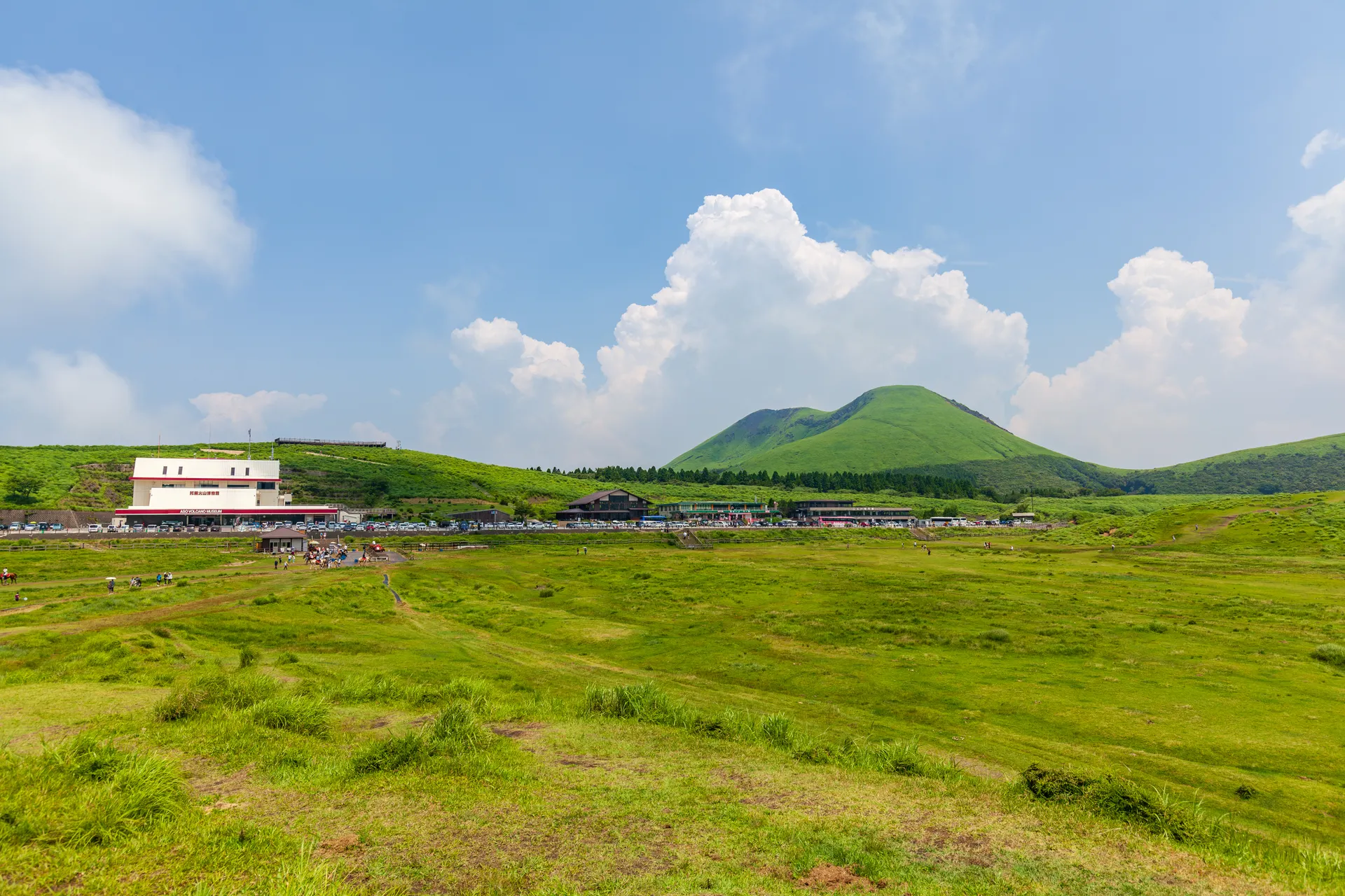 Mount Aso, a Shinto Shrine and a Washi Paper Workshop: Private Day from Kumamoto