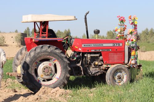 Free A colorful, decorated Massey Ferguson tractor on a sunny day in a green field. Stock Photo