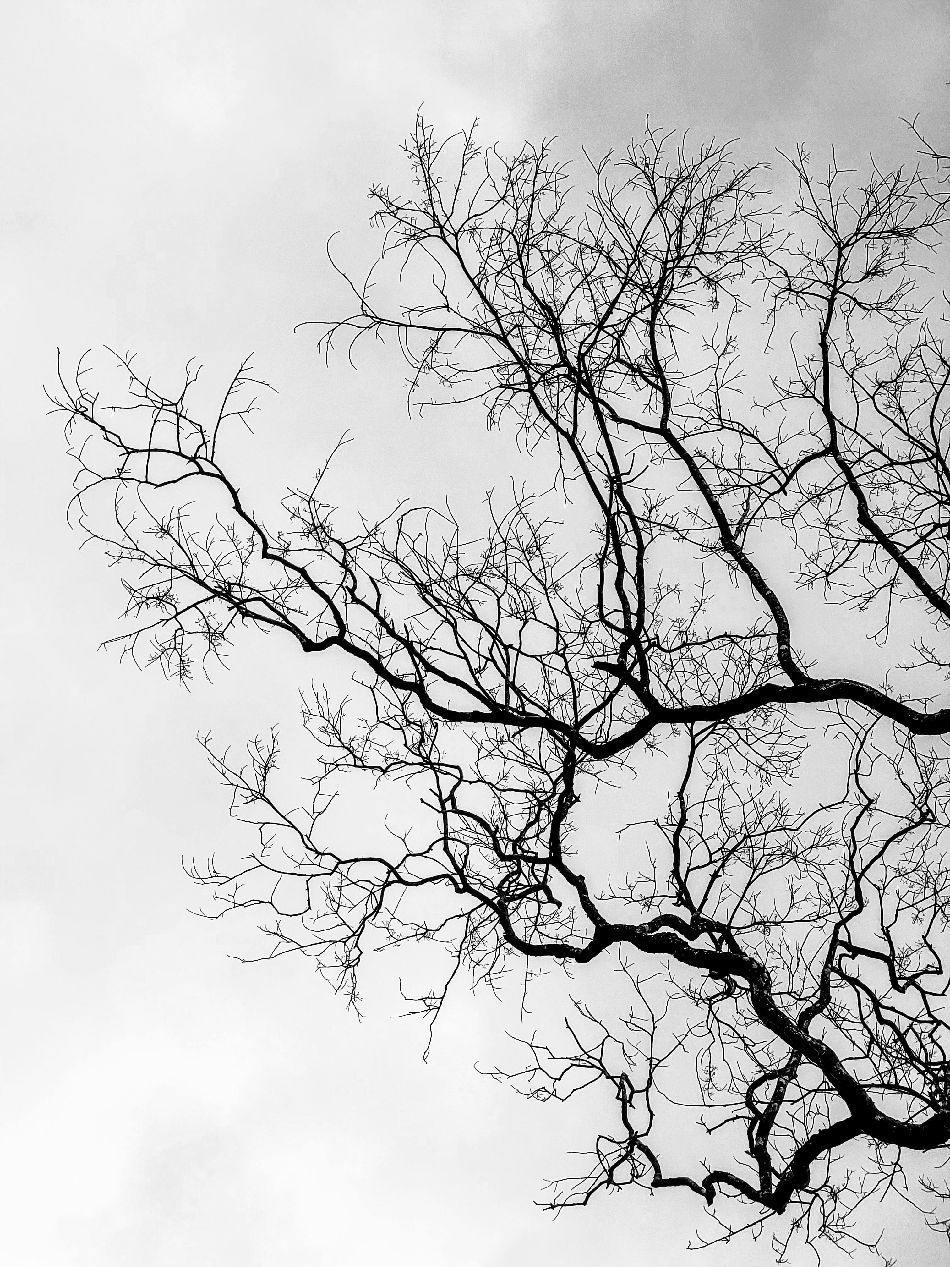 Backlinks Mit Mehrwert Schaffen: So Steigern Sie Ihre Sichtbarkeit 8 Backlinks mit Mehrwert: Wie Sie Ihre Autorität in der Branche steigern können!