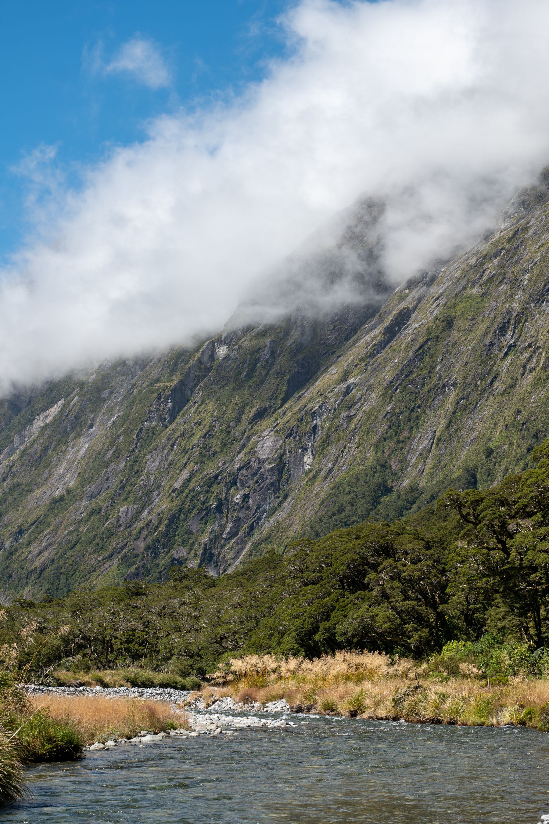Green Fiordland mountains meeting calm water in New Zealand's South Island