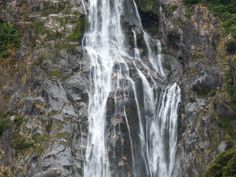 Milford Sound Günübirlik