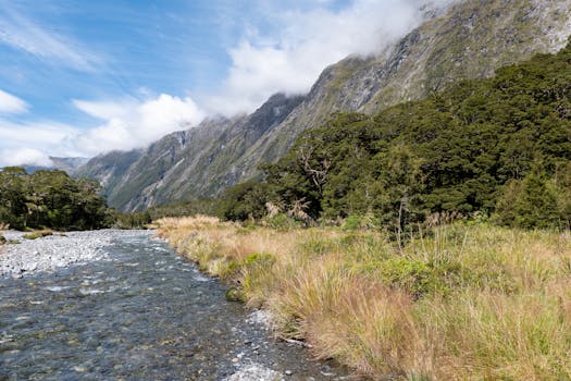 Milford Sound