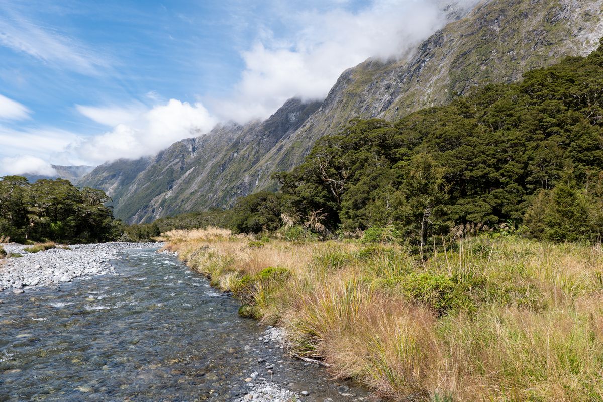 Milford Track