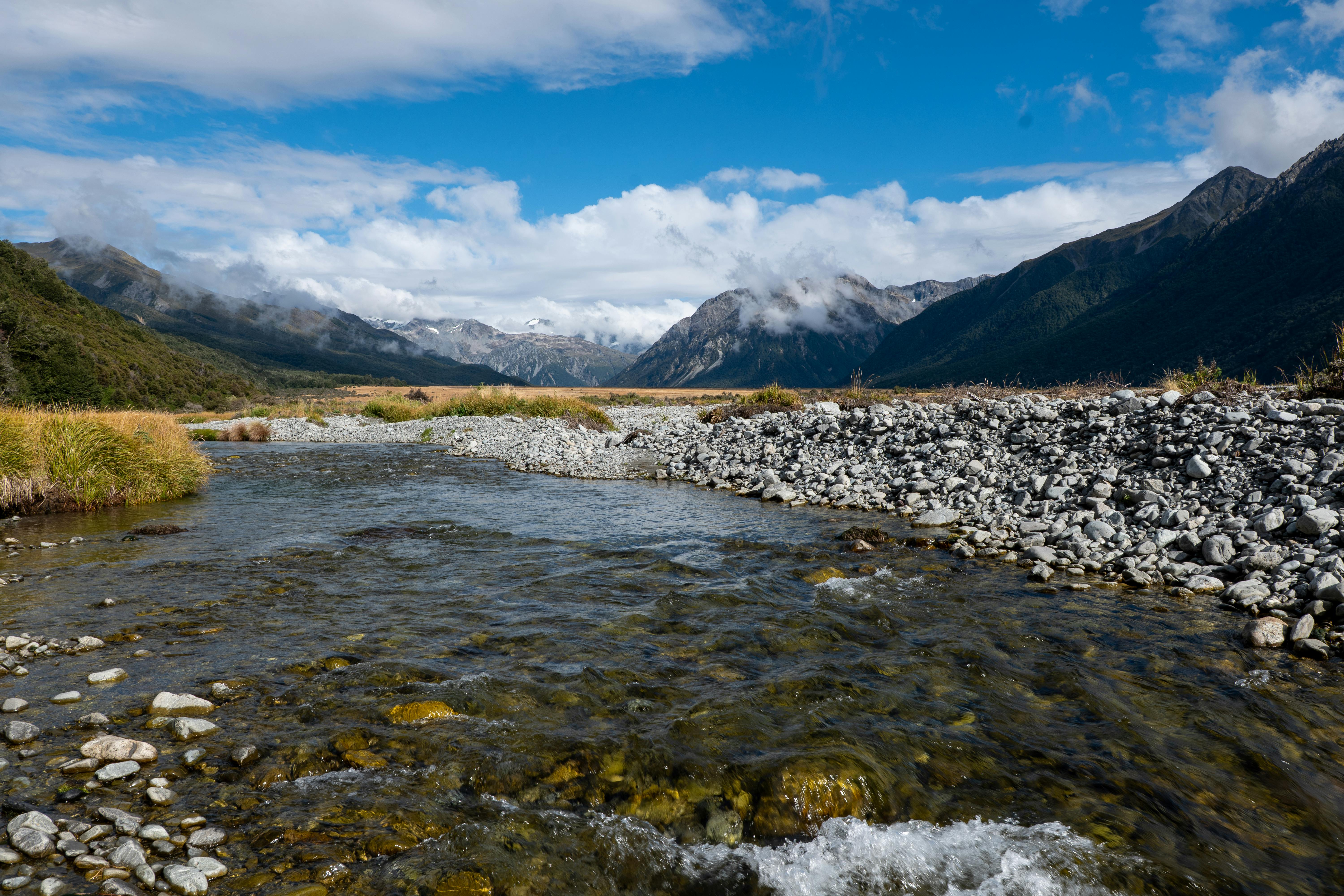 General Travel New Zealand hosts five-city roadshow in India — Photo by Mark Direen on Pexels