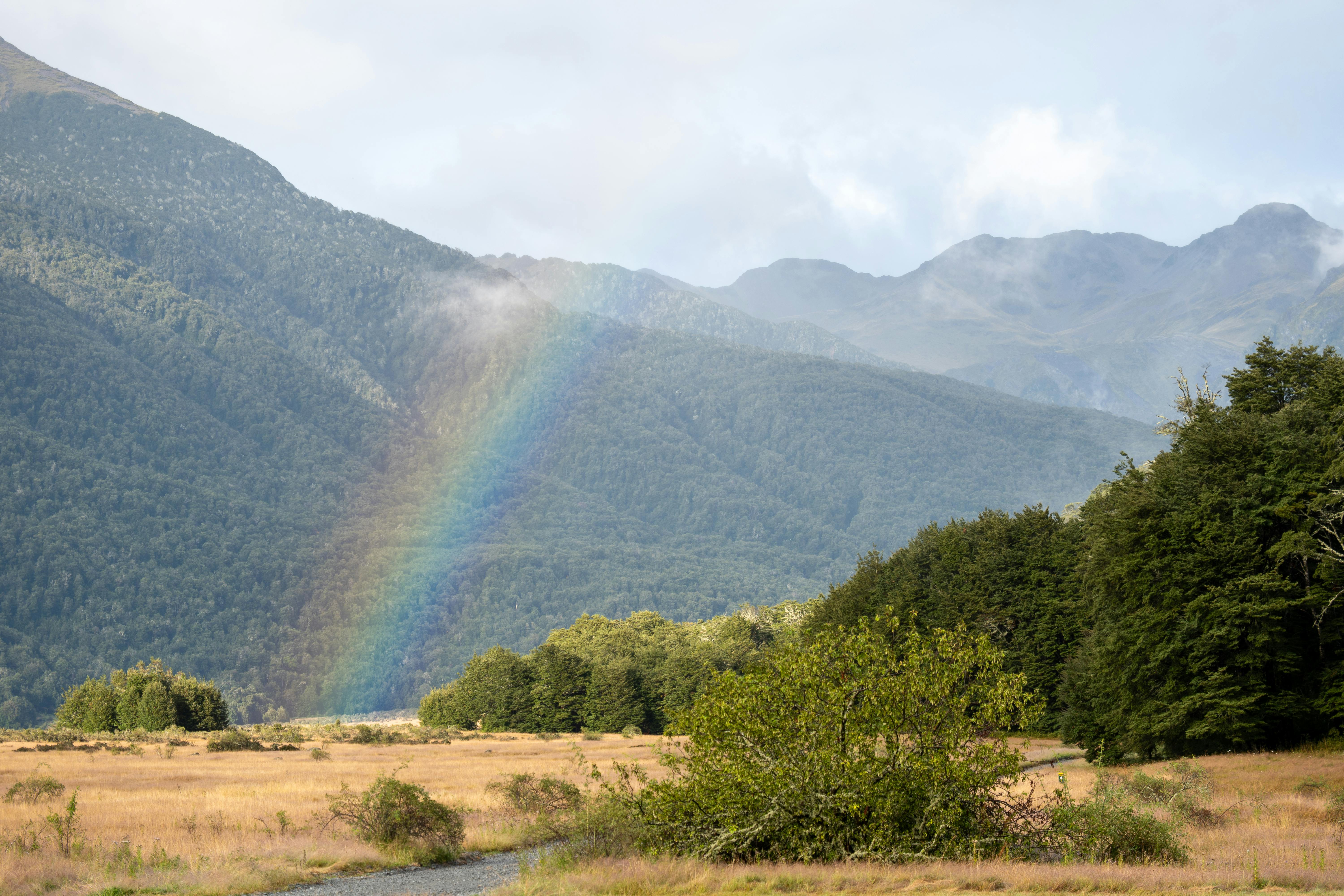 A travel guide to New Zealand: Cost, culture and more tips for visiting the country — Photo by Mark Direen on Pexels