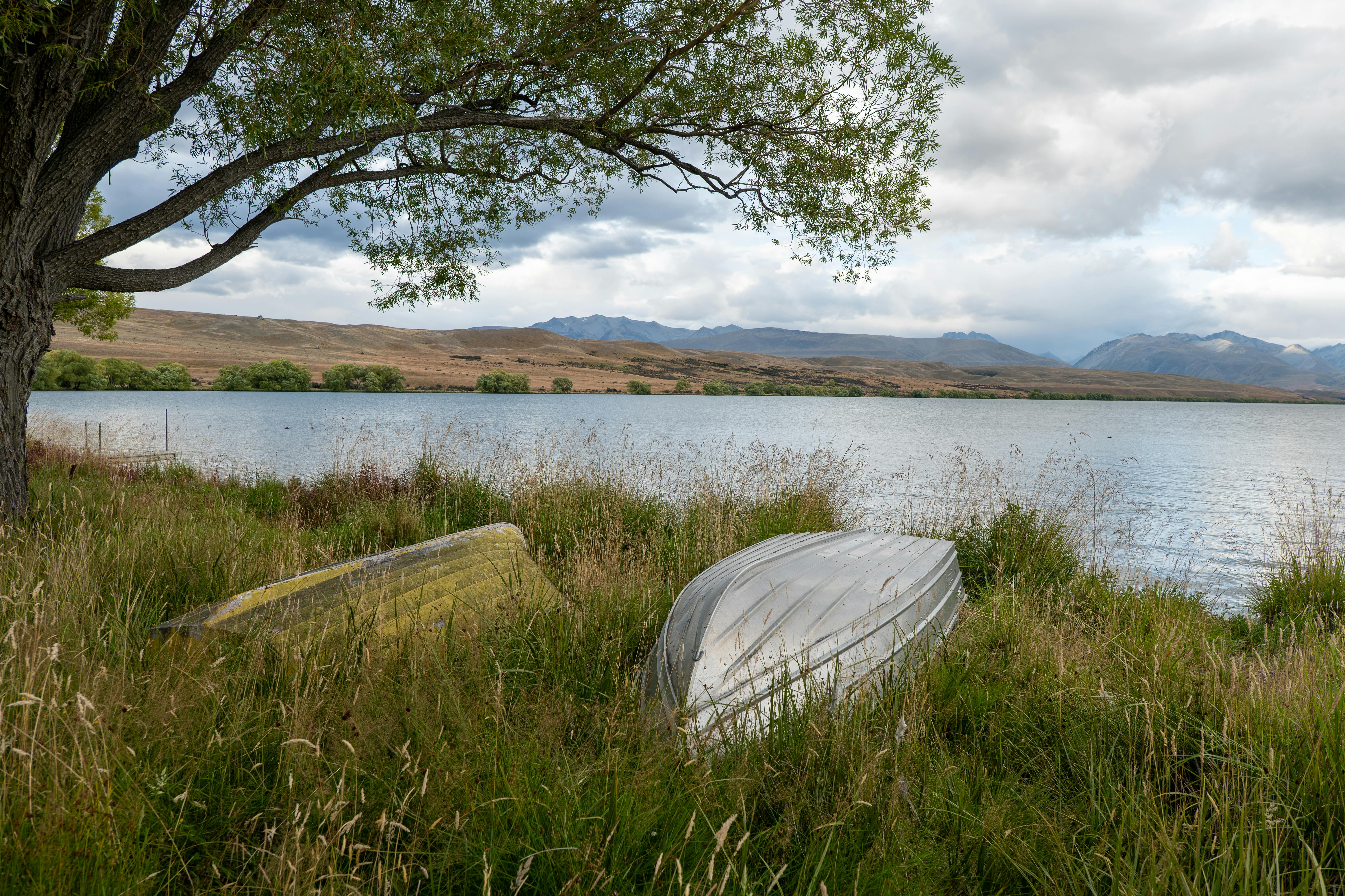 A travel guide to New Zealand: Cost, culture and more tips for visiting the country — Photo by Mark Direen on Pexels