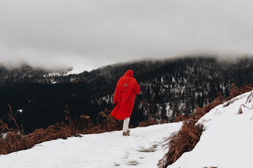 Foto De Persona Caminando Sobre La Nieve