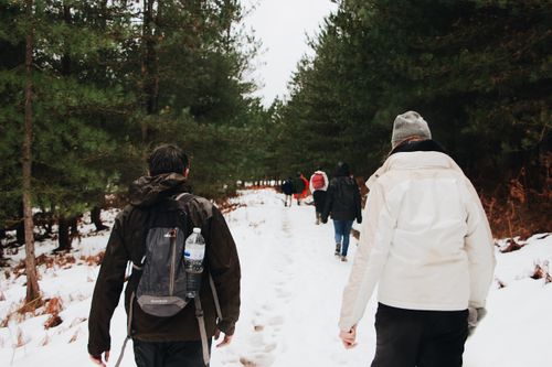 Free A group of people hiking through a snow-covered trail surrounded by pine trees. Stock Photo
