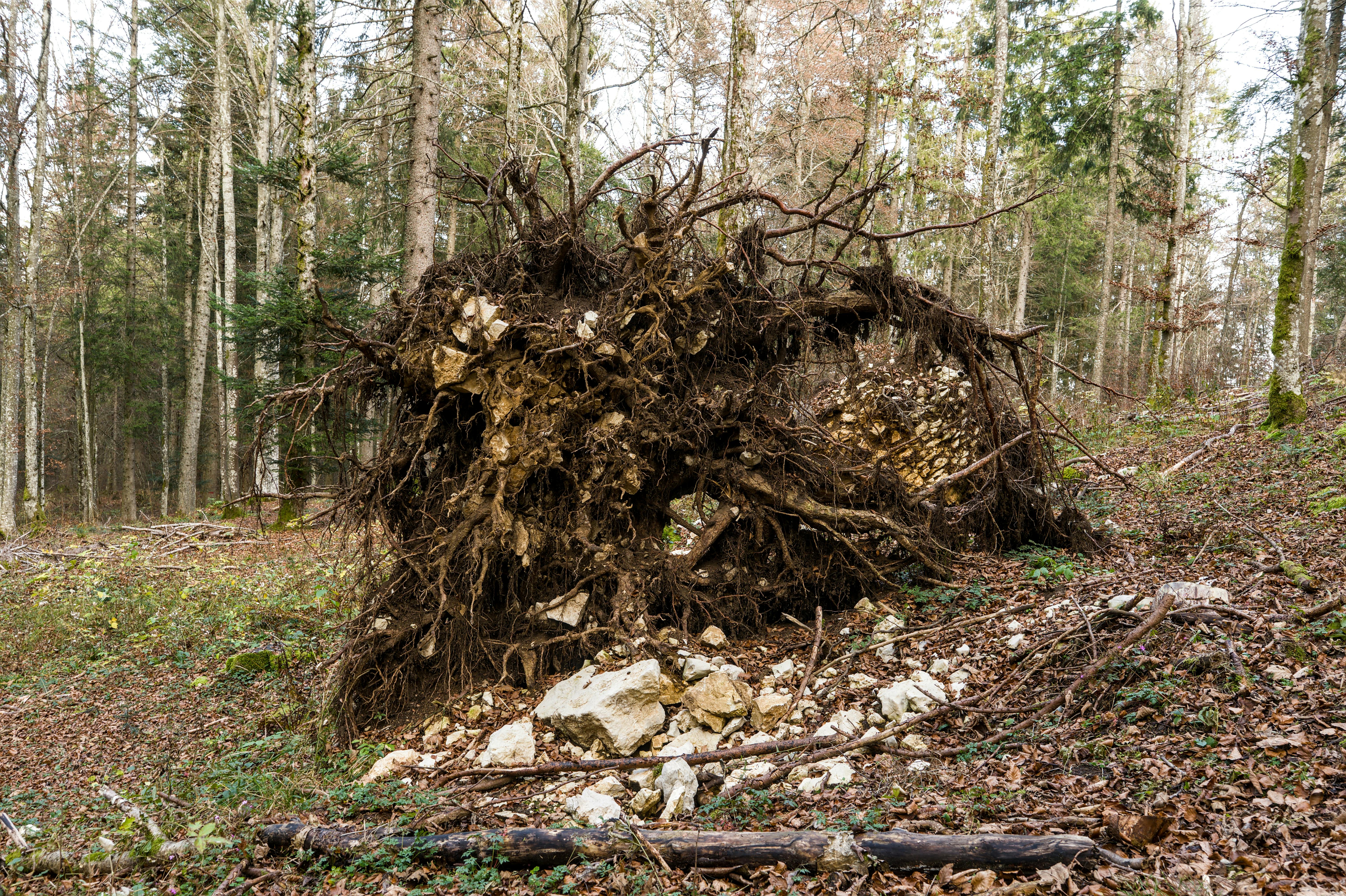 Hidden Opportunities in Every Challenge: Unlock Your Potential