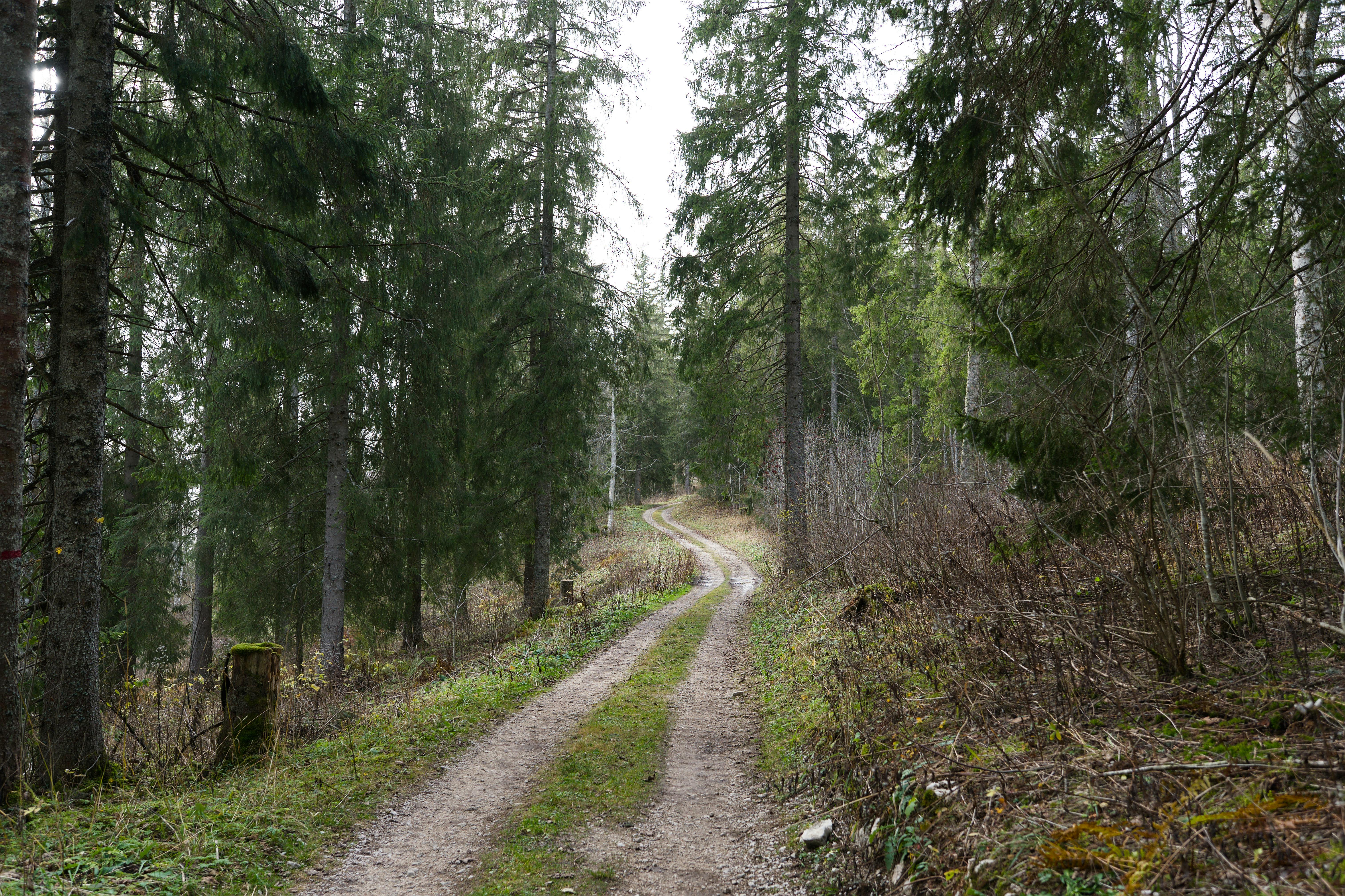 Eco Friendly Hacks for Sustainable Living