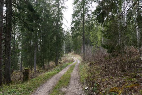Free Winding path through lush Swiss Jura forest highlighting natural serenity. Stock Photo