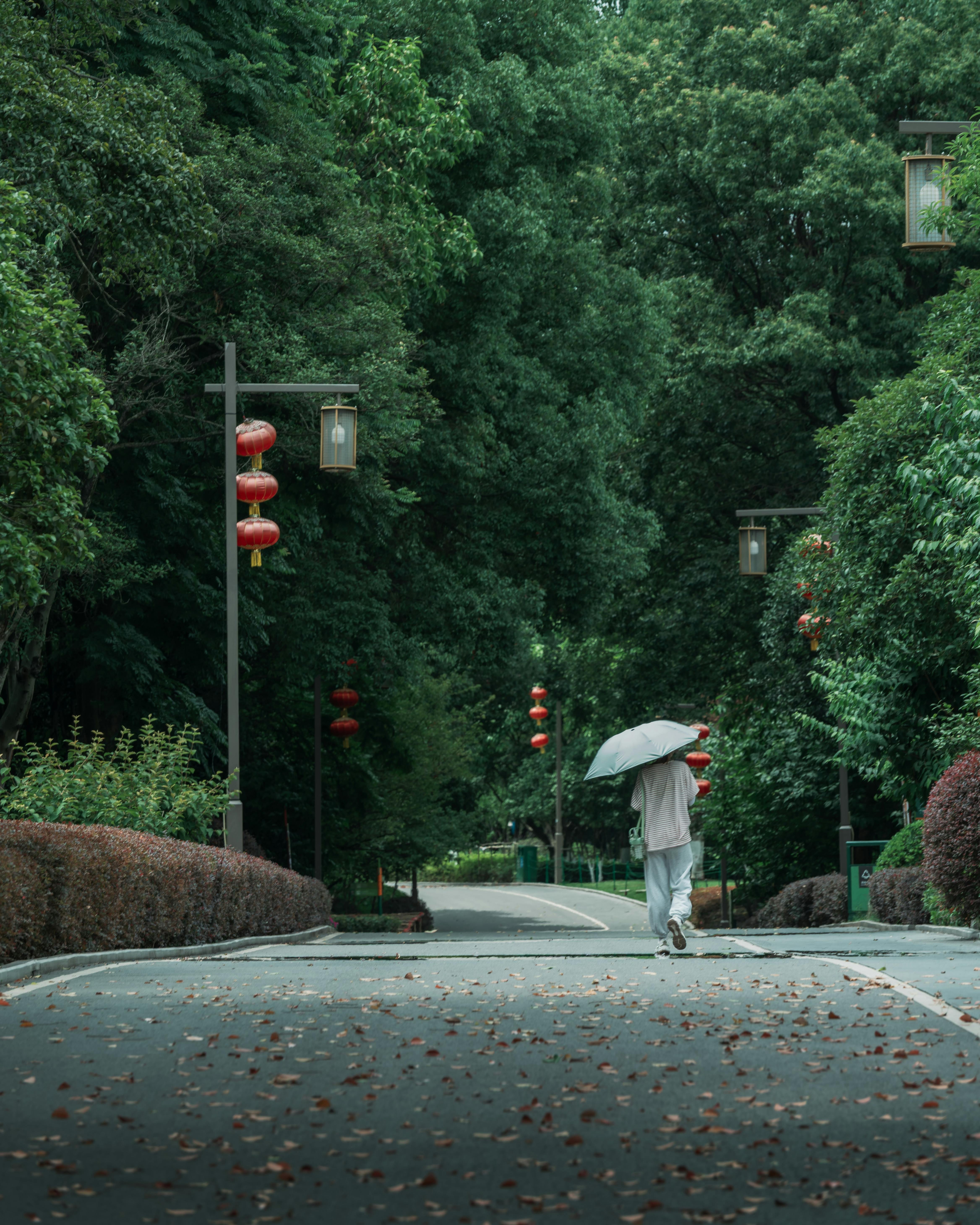A person walks with an umbrella on a rain-soaked path in a lush park, creating a peaceful scene.
