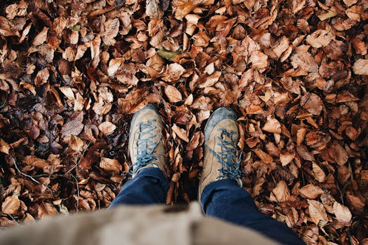 秋日小径上落叶覆盖，登山靴的俯拍视角，构成一幅完美的秋景