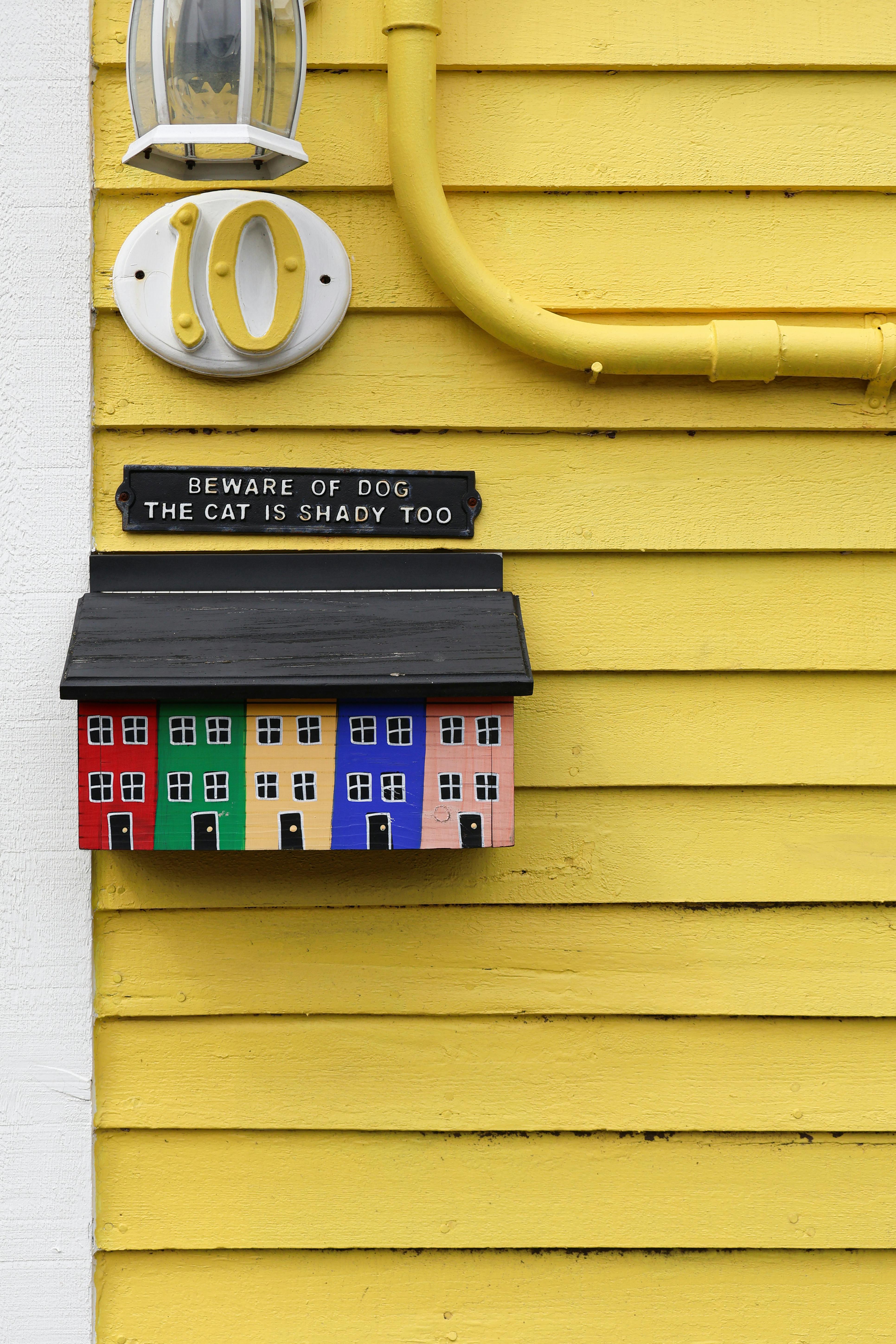 Why Do Dogs Have Wet Noses? Discover The Fascinating Reasons 4 10 Surprising Benefits of a Dog’s Wet Nose: More Than Just a Quirky Feature