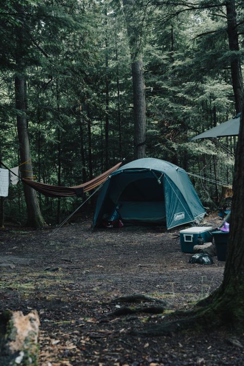 Free A serene campsite in the woods with a green tent and hammock, perfect for outdoor enthusiasts. Stock Photo