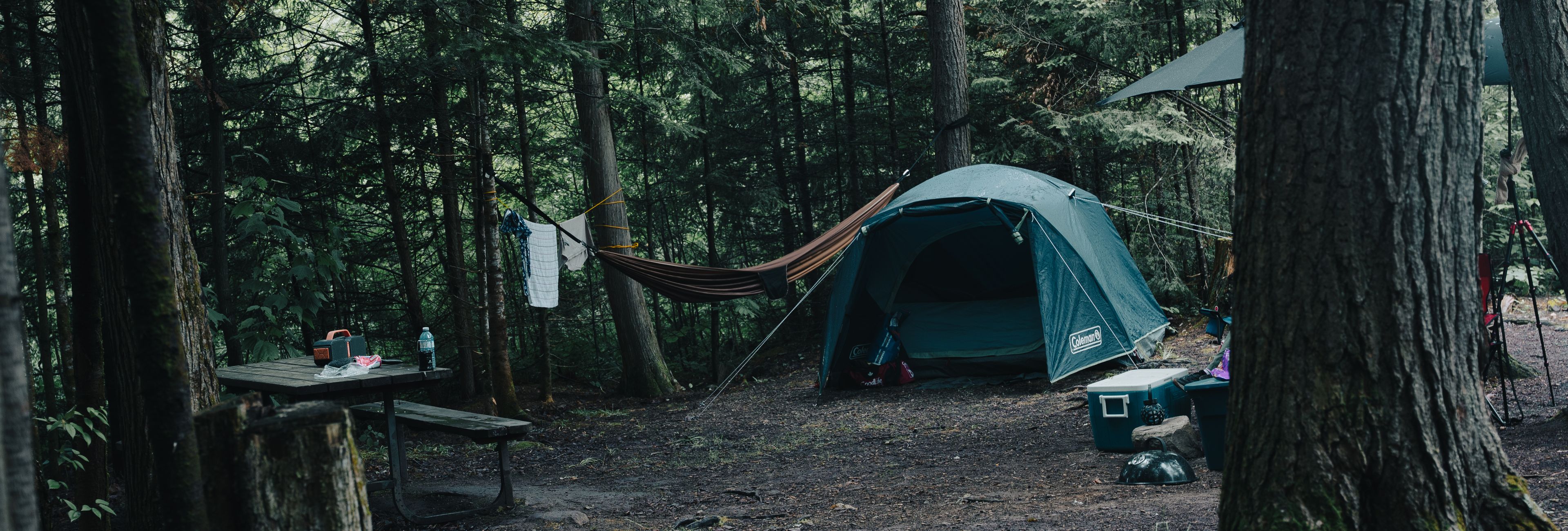 Wilderness Navigation Without GPS: The Complete Field Guide (2026)