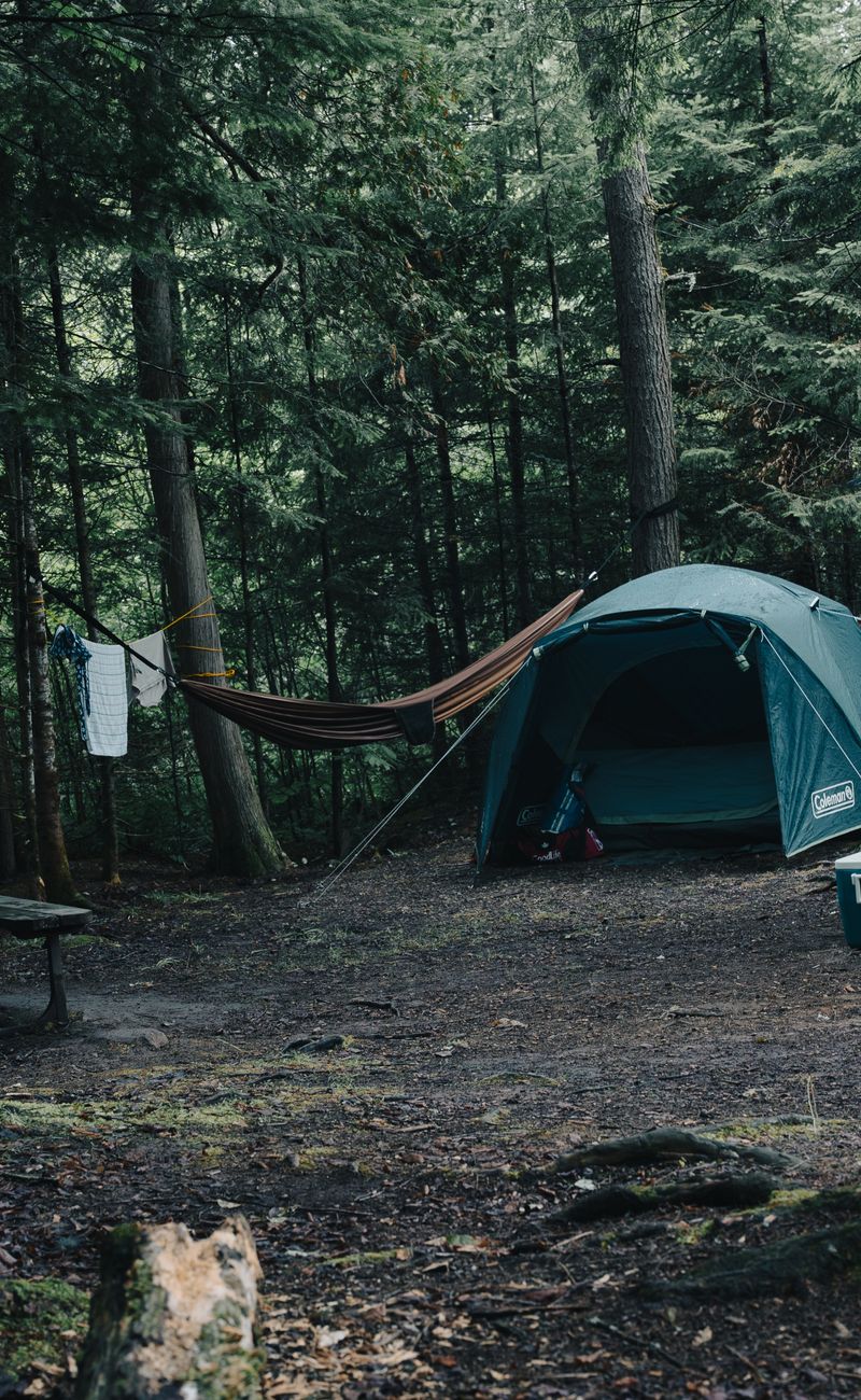 Wilderness Navigation Without GPS: The Complete Field Guide (2026)