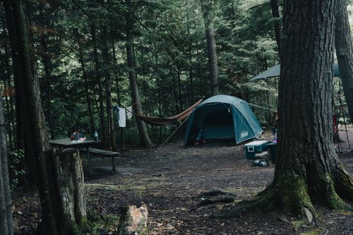 Free A tranquil camping scene in a dense forest with a tent, hammock, and picnic setup. Stock Photo