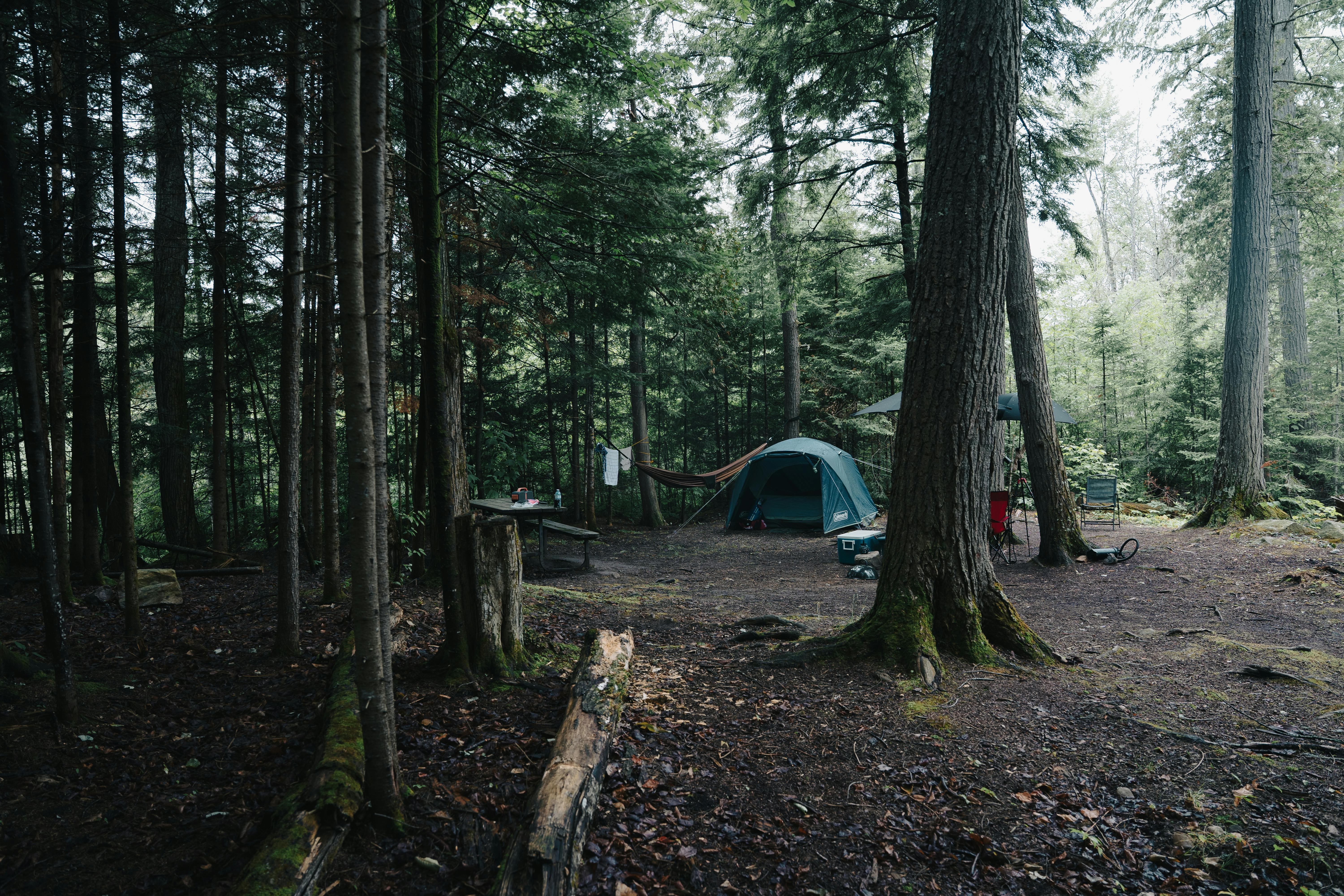 Tents set up at a quiet California campground at sunset