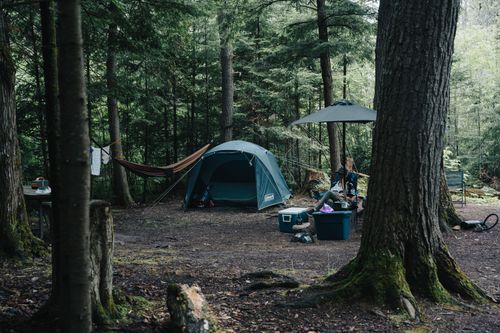 Free Tranquil forest camping site with a tent, hammock, and camping equipment surrounded by lush trees. Stock Photo