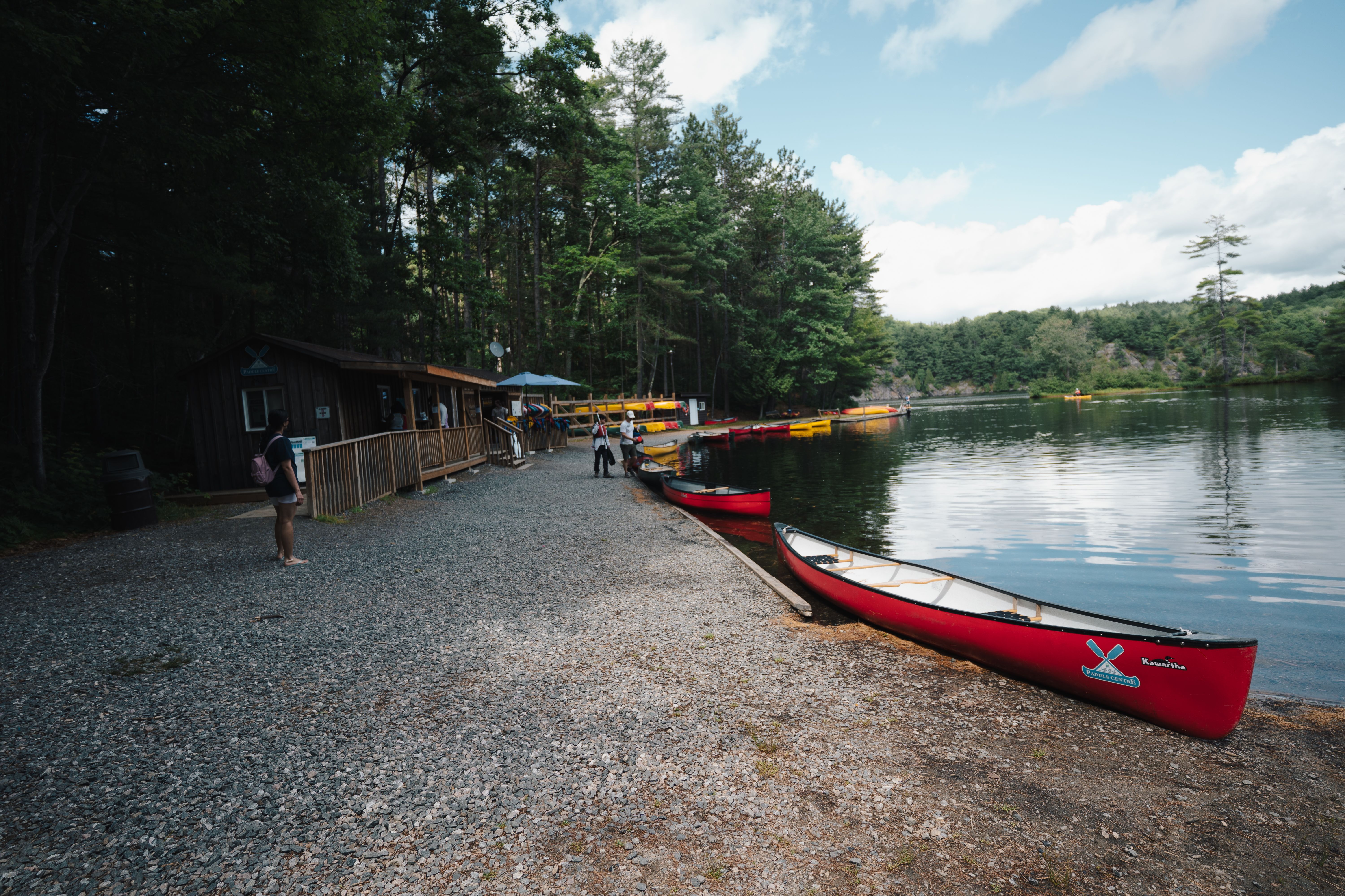 Peaceful lake with red canoes and cabins surrounded by lush forest on a sunny summer day.