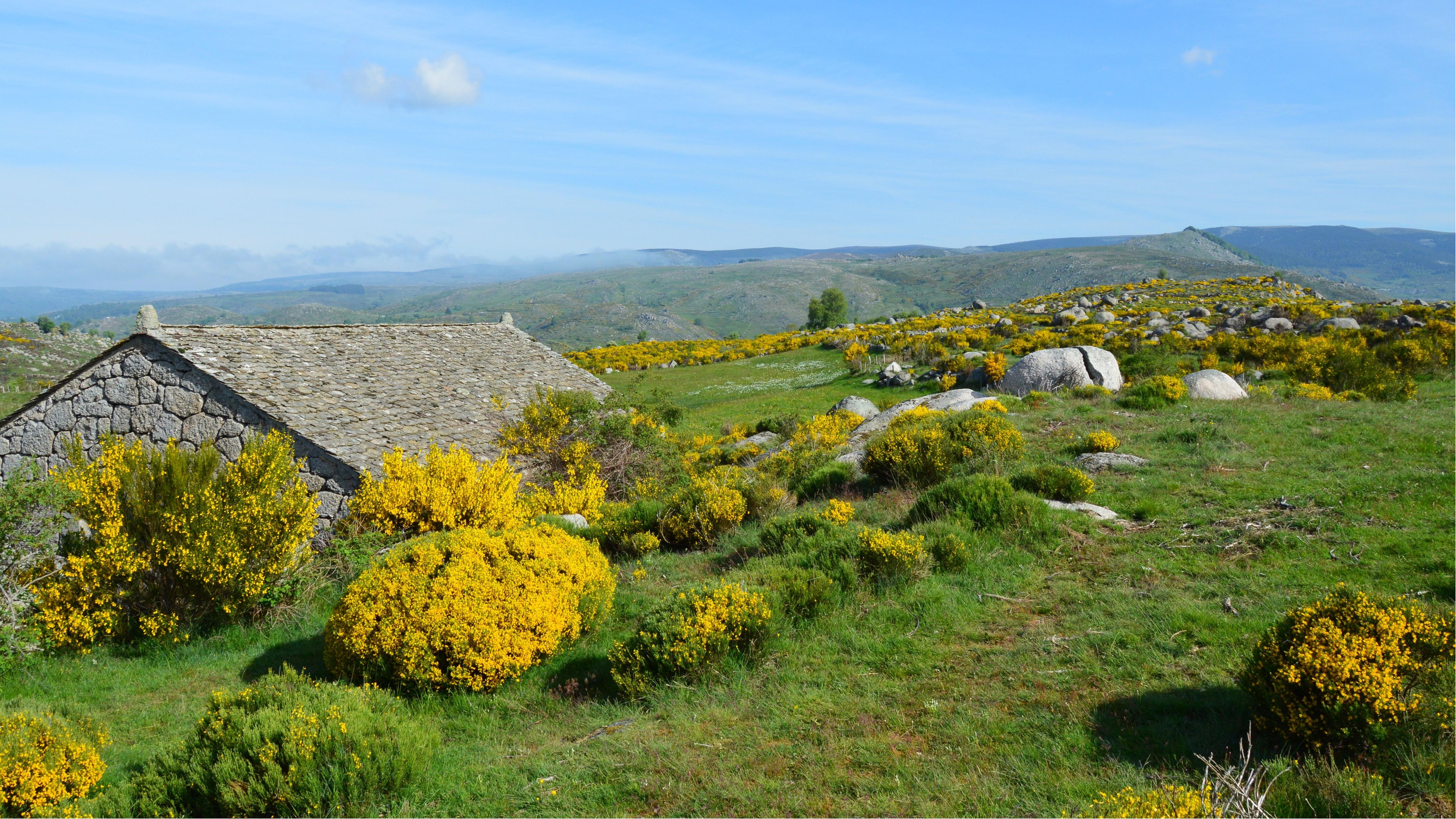 Rustic Stone Cottage in French Countryside