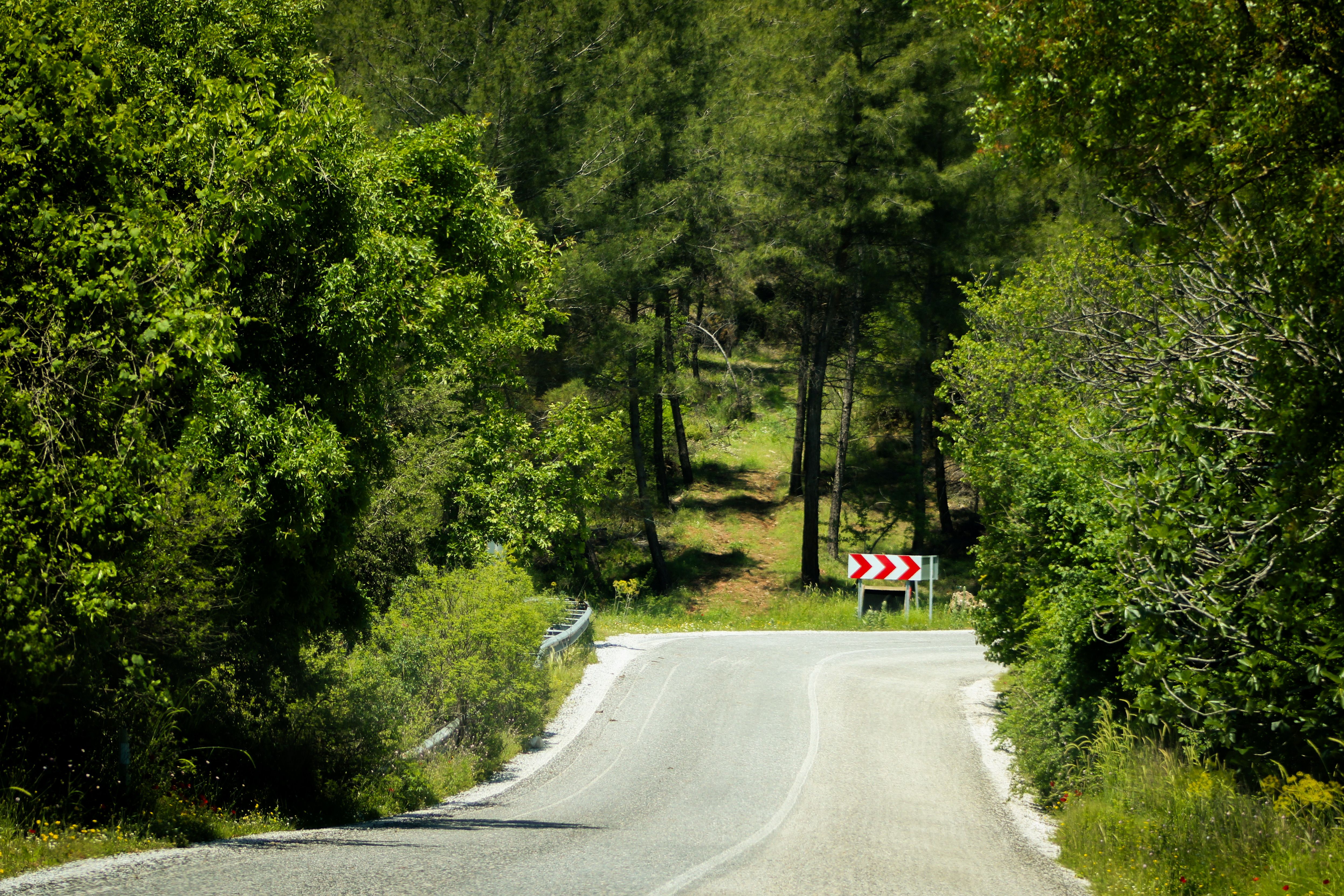 Mt Polhill Rest Area