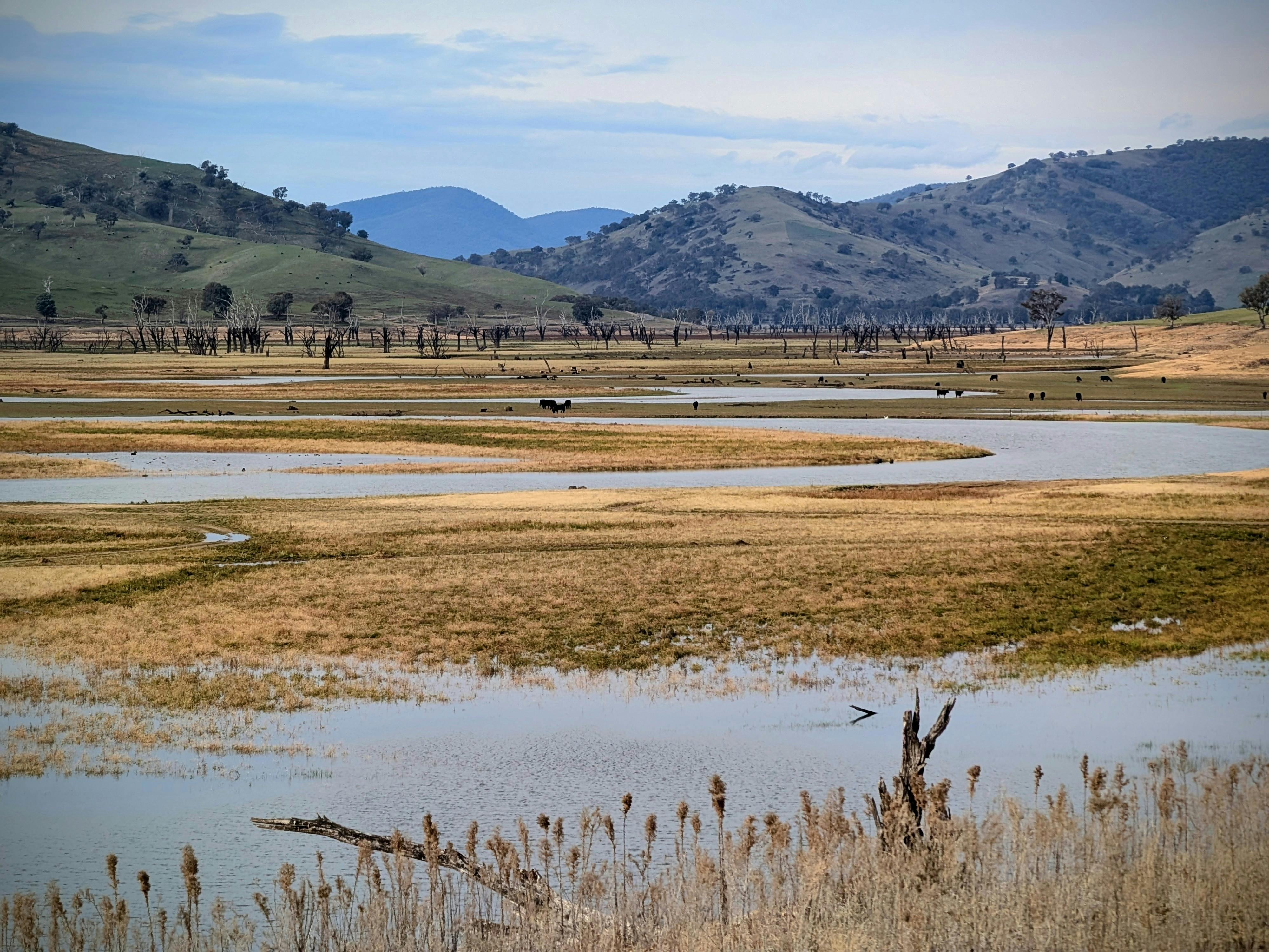 DA ramps up drought mitigation efforts, pushes climate-resilient crops in Cagayan Valley — Photo by Joshua Navratil on Pexels