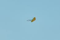 Vibrant Kite Soars Against Clear Blue Sky