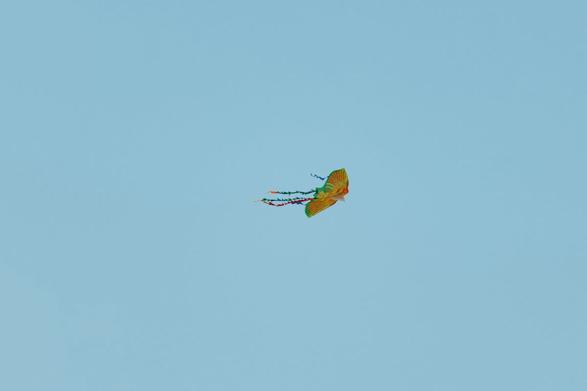 Sky Bri Photos, Download The BEST Free Sky Bri Stock Photos & HD Images