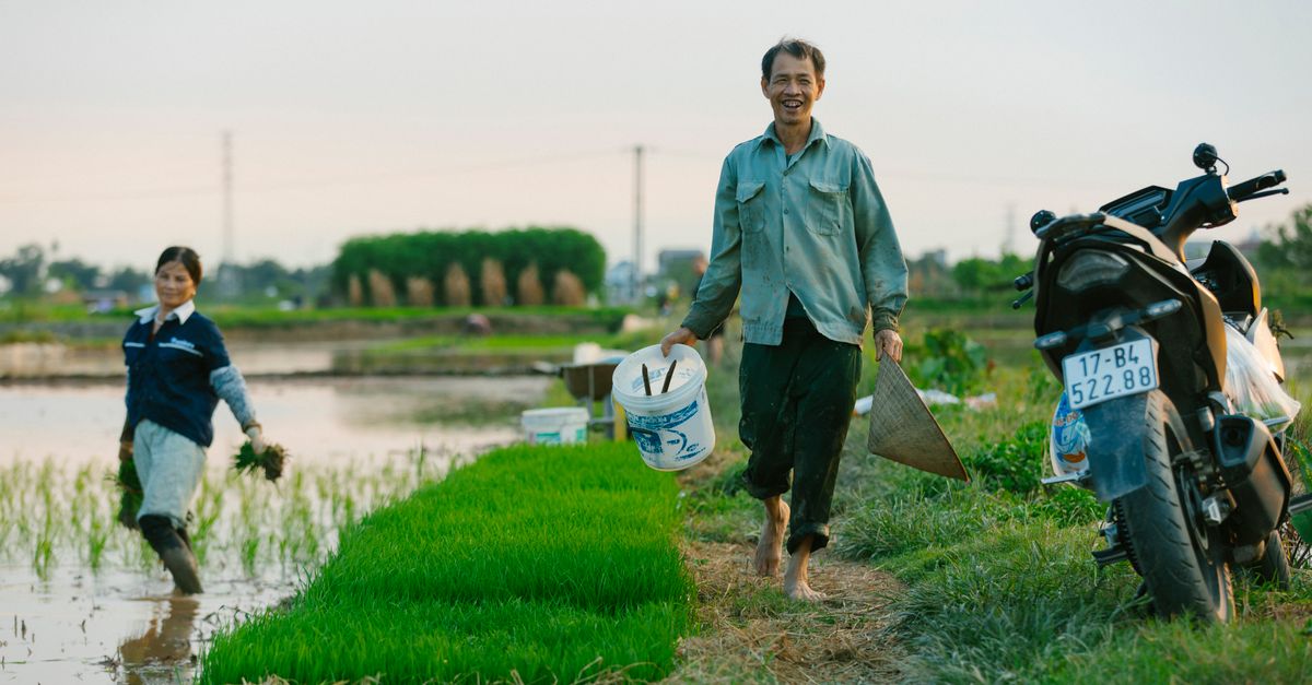 Comment optimiser votre présence en ligne pour vendre vos produits agricoles