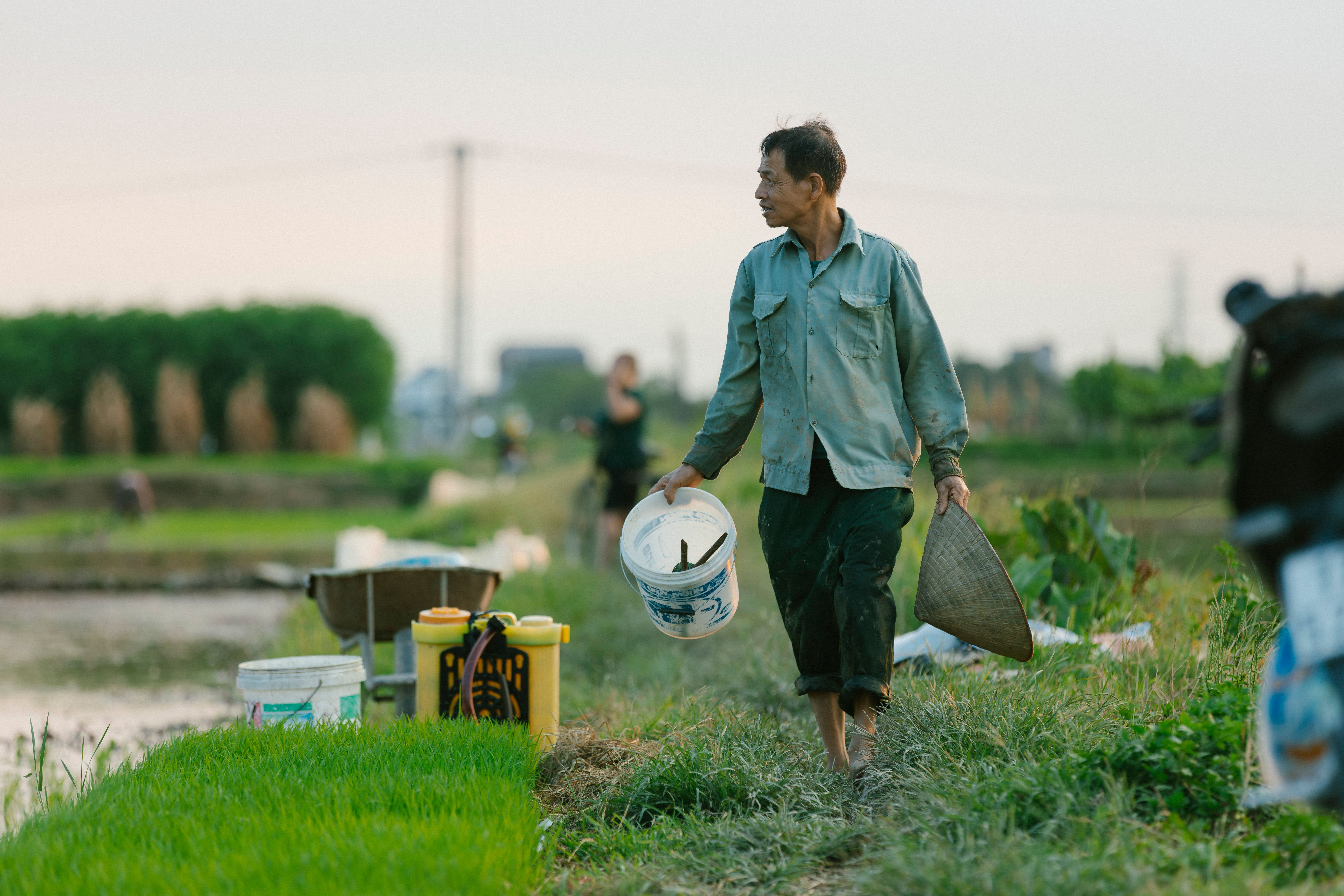 Rural Farmer Working in Verdant Rice Field · Free Stock Photo