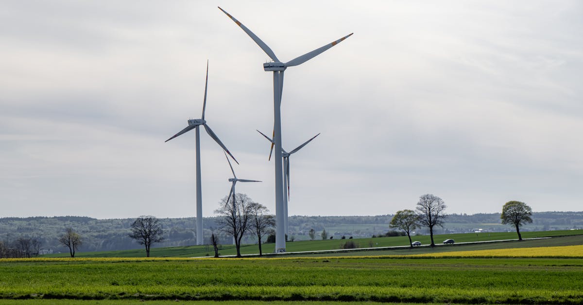 連假走春新選擇:沙崙綠能科技示範場域寓教於樂