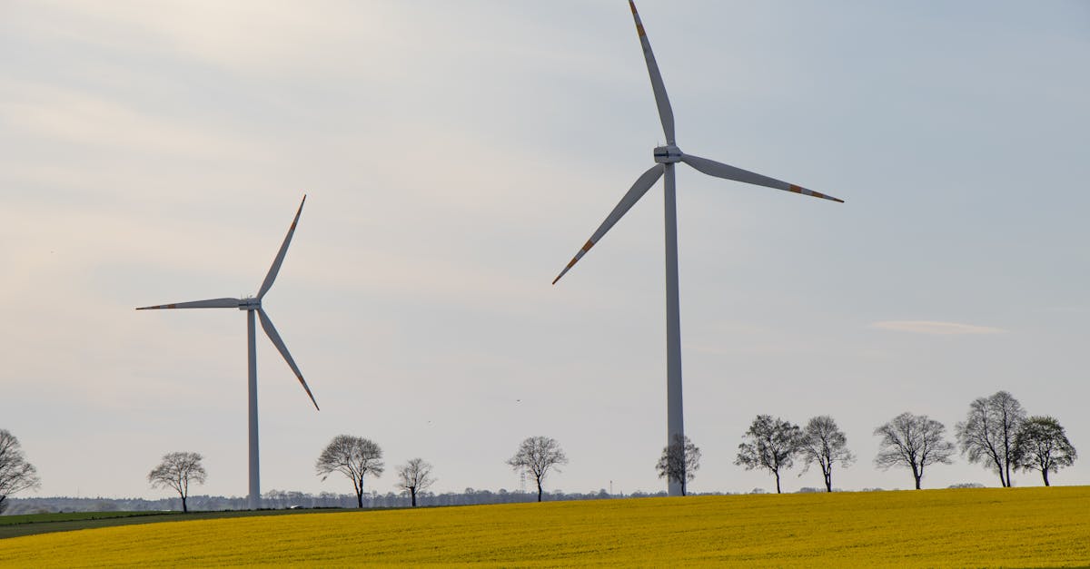 連假走春新選擇:沙崙綠能科技示範場域寓教於樂