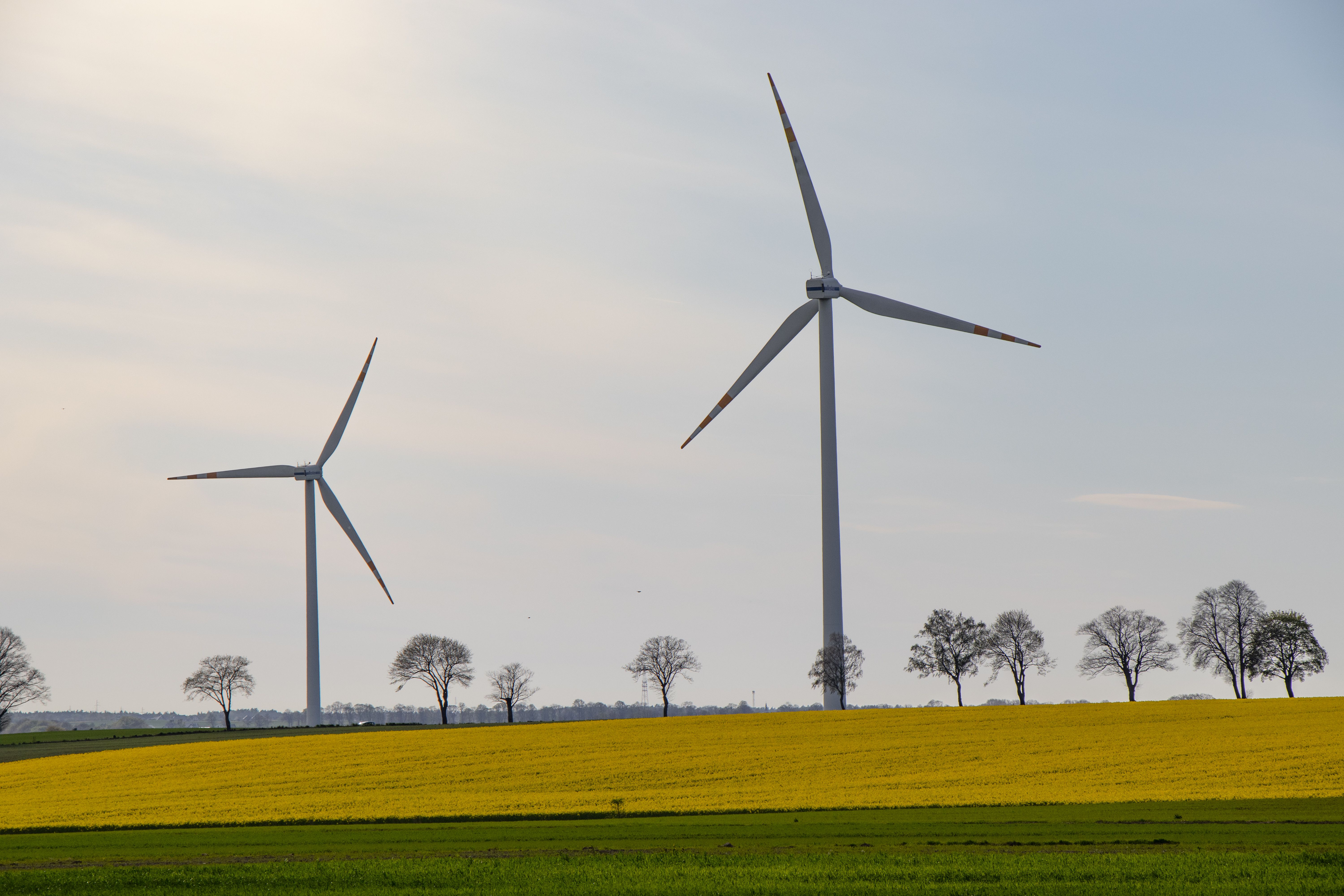 Wind Turbines in a Scenic Countryside Landscape · Free Stock Photo