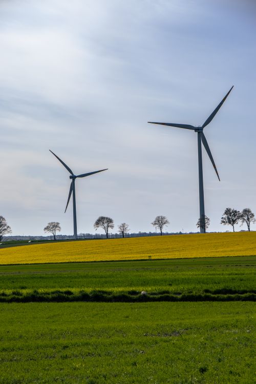 Free Scenic view of wind turbines in a vibrant countryside field during the day. Stock Photo