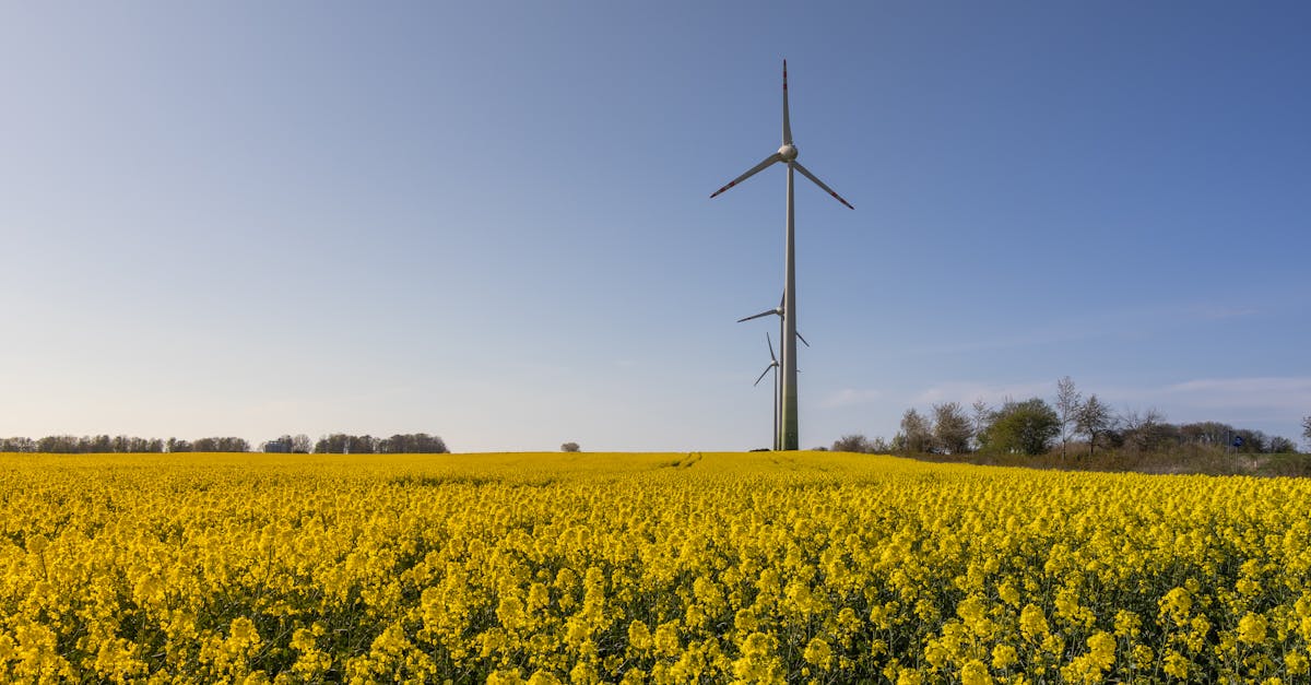 南天講堂響應澳洲清潔日 推動資源循環與永續生活