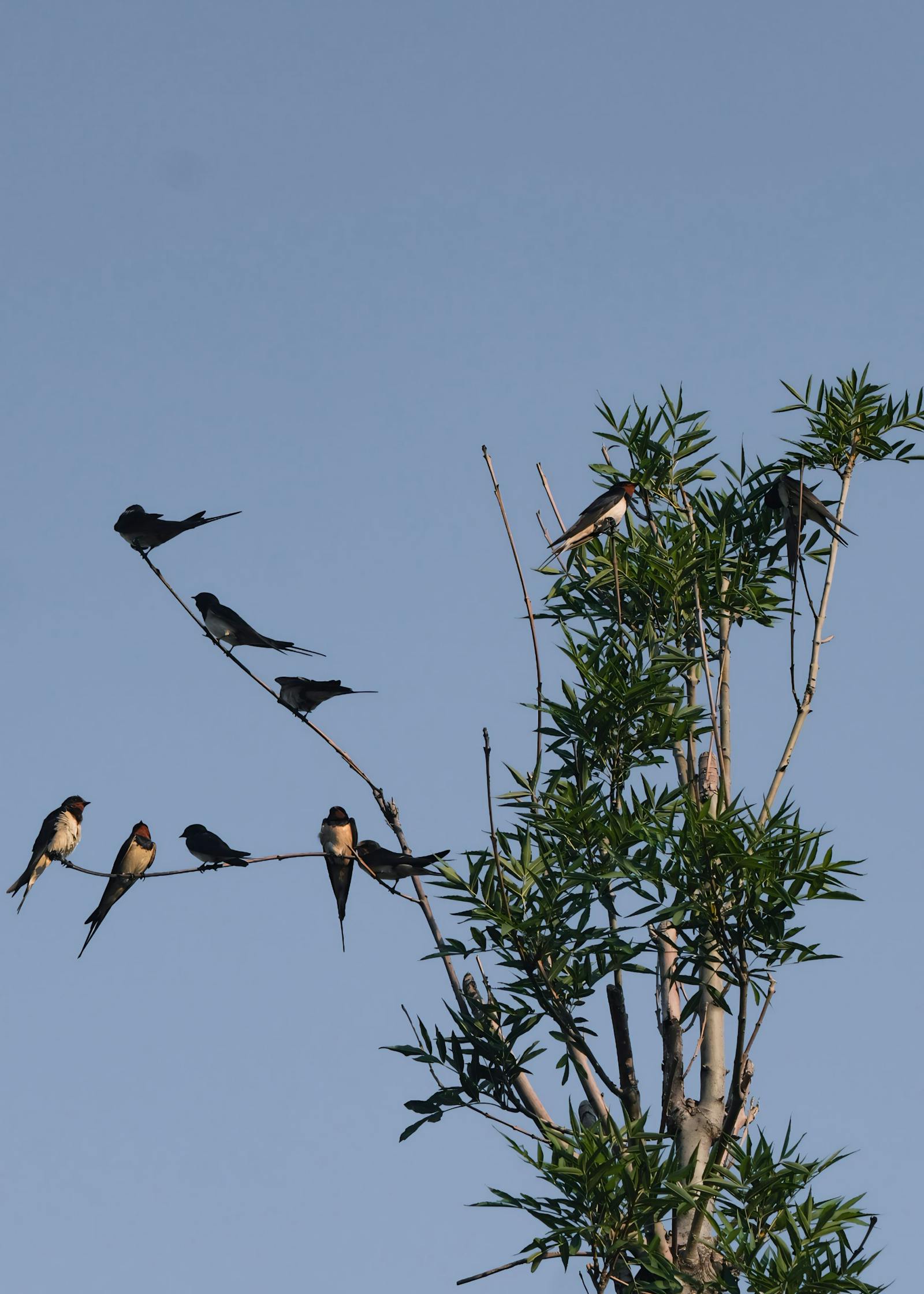 Sky Bri Photos, Download The BEST Free Sky Bri Stock Photos & HD Images