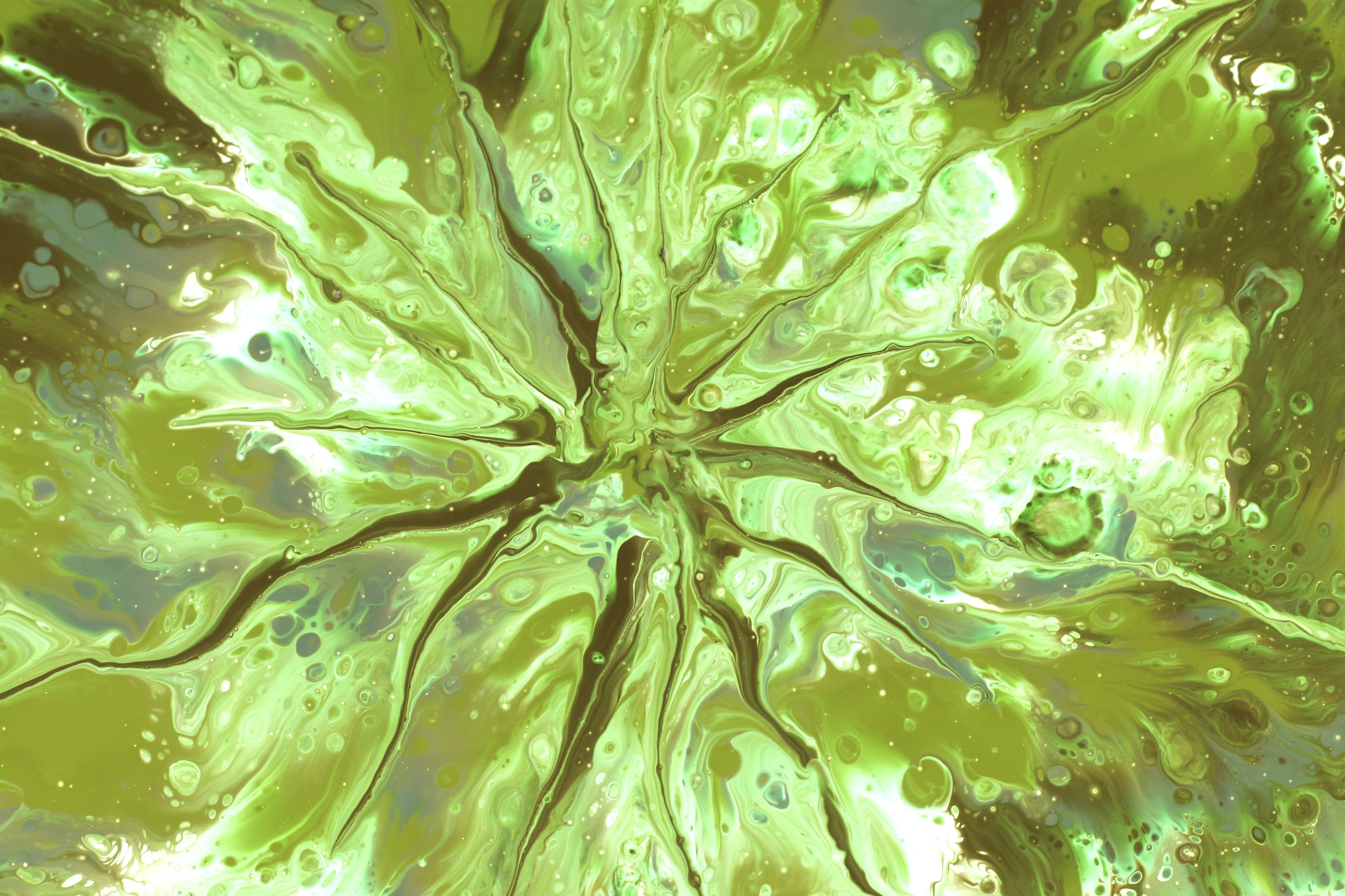 Vibrant Abstract Green Paint Swirl Design · Free Stock Photo