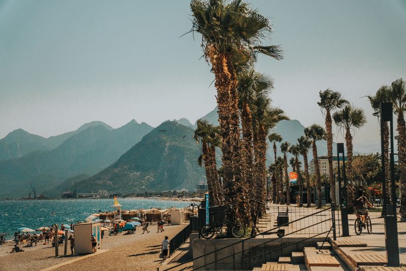 Palm-lined promenade along Mediterranean beach
