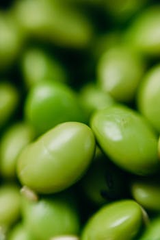 green beans image