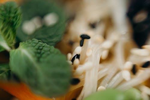 Foto Close Up Sayuran