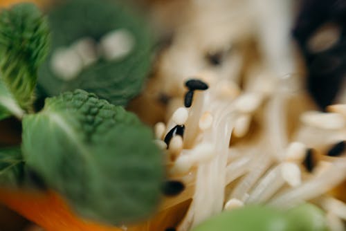 Close-Up Photo Of Vegetables