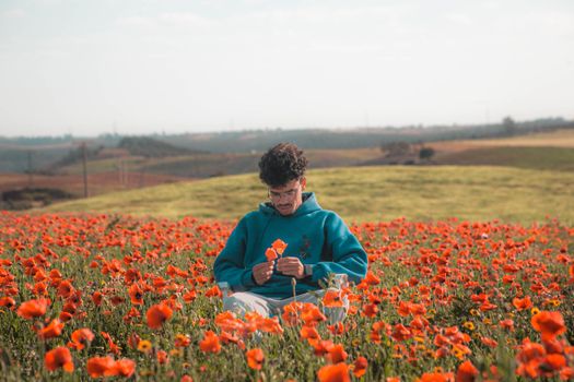 A young man wearing a blue hoodie sits in a vibrant poppy field in Benslimane, Morocco.