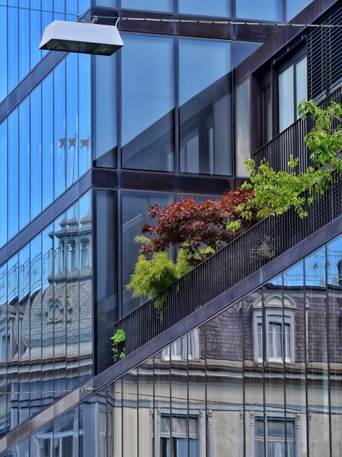 Free Glass facade reflects historic architecture with vibrant greenery Stock Photo