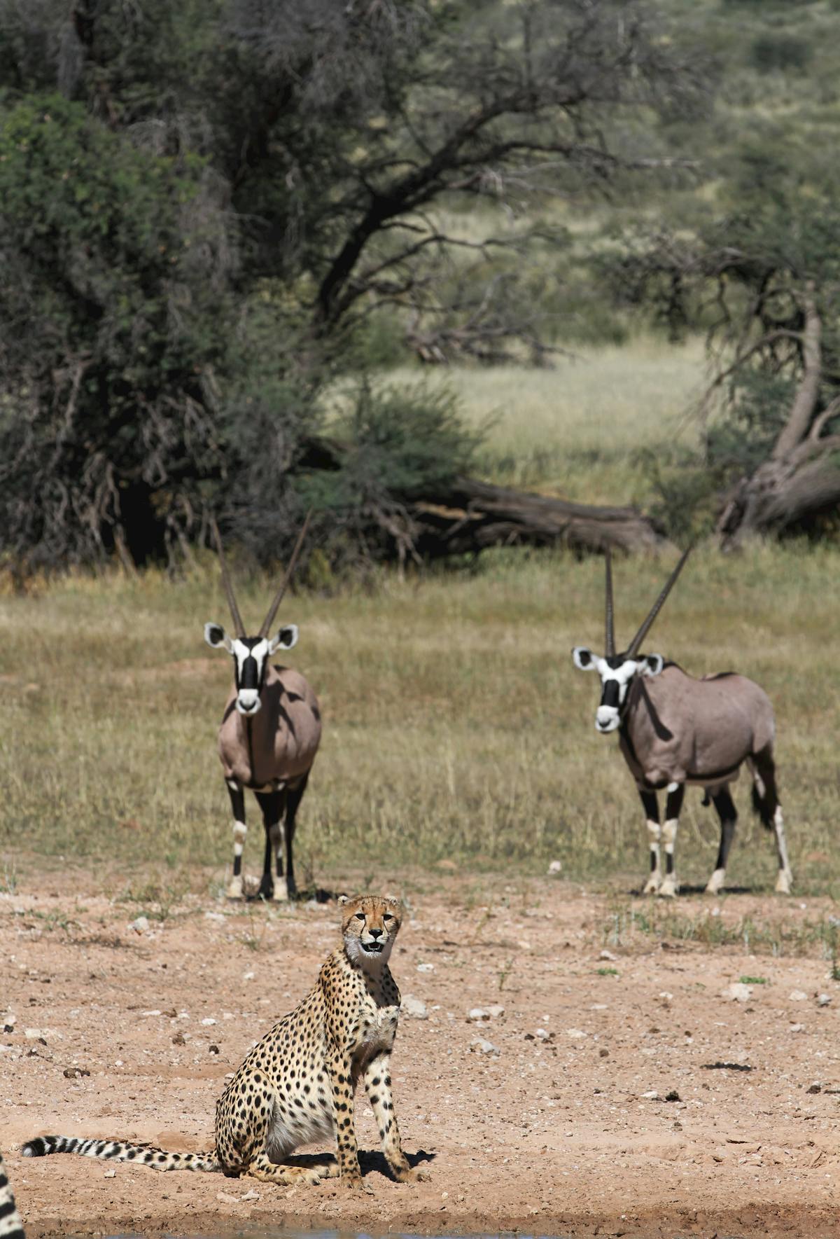 Savannah+Skye+Leaked+Onlyfans+Vids Photos, Download The BEST Free