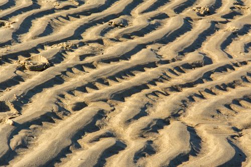 Free Detailed view of rippled sand patterns formed by wind on a sunny beach. Stock Photo
